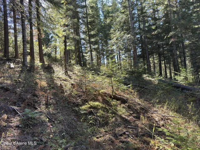 $425,000 | 94 Lochsa Lane, Pinehurst, ID 83850