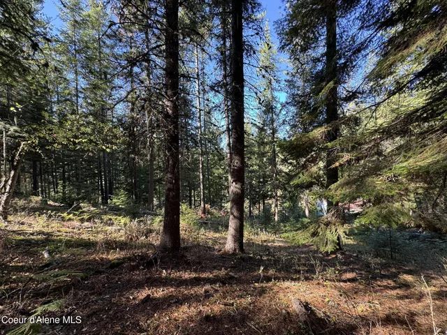 $425,000 | 94 Lochsa Lane, Pinehurst, ID 83850