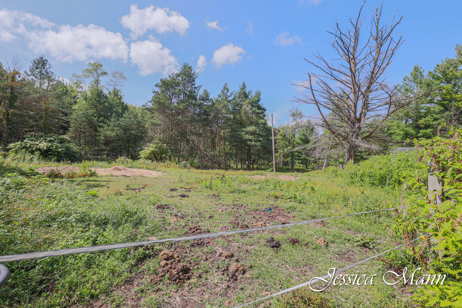 6093 Rollenhagen Road Ravenna, MI 49451 - Photo 18 of 28 6093 Rollenhagen-17
