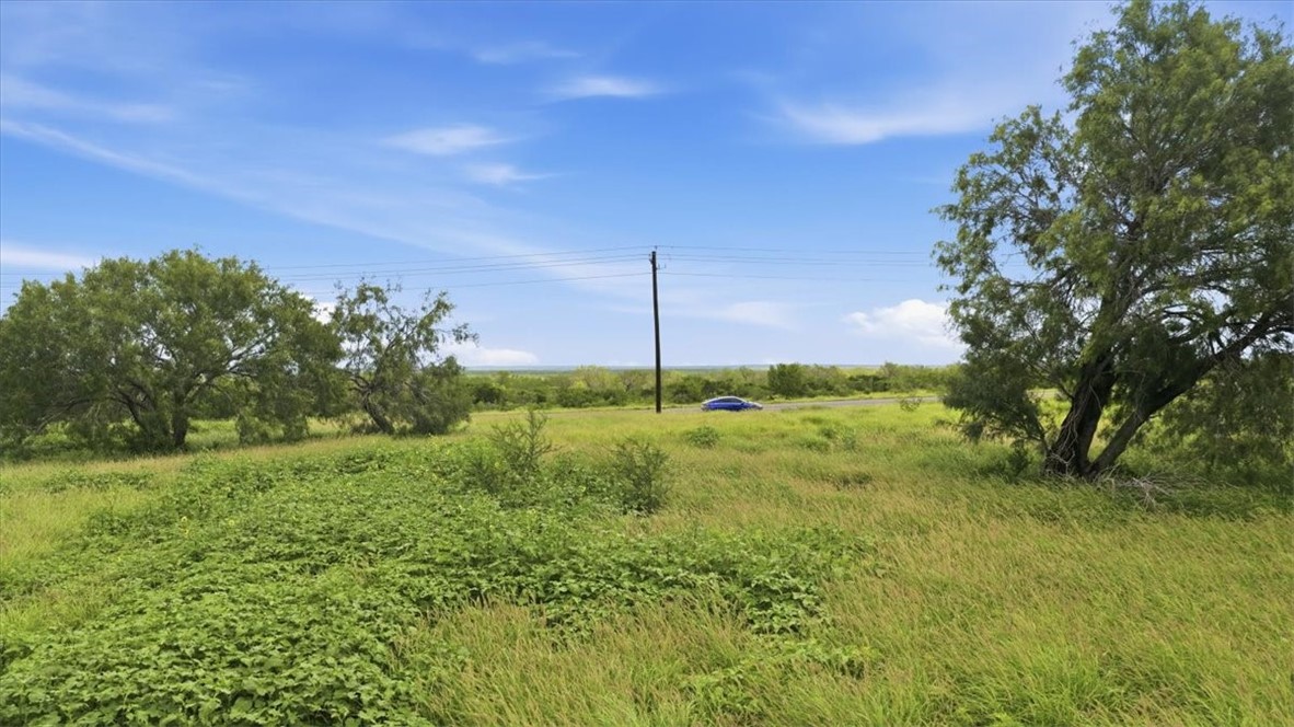 3187 Highway 72 Three Rivers, TX 78071 - Photo 3 of 13 a view of a green field with an tree in the background