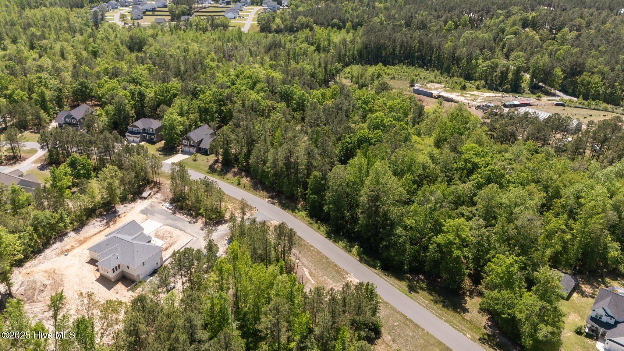 219 Stella Way Cameron, NC 28326 - Photo 16 of 19 17-web-or-mls-DJI_20250429150804_0768_D