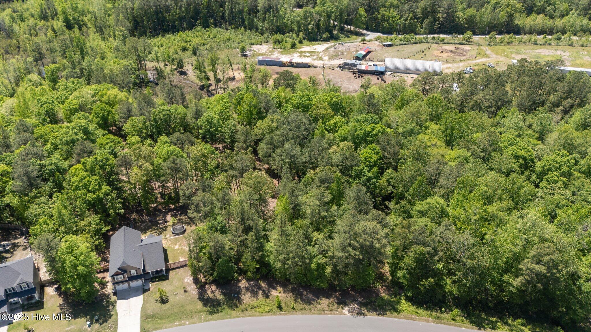 219 Stella Way Cameron, NC 28326 - Photo 17 of 19 18-web-or-mls-DJI_20250429150840_0770_D