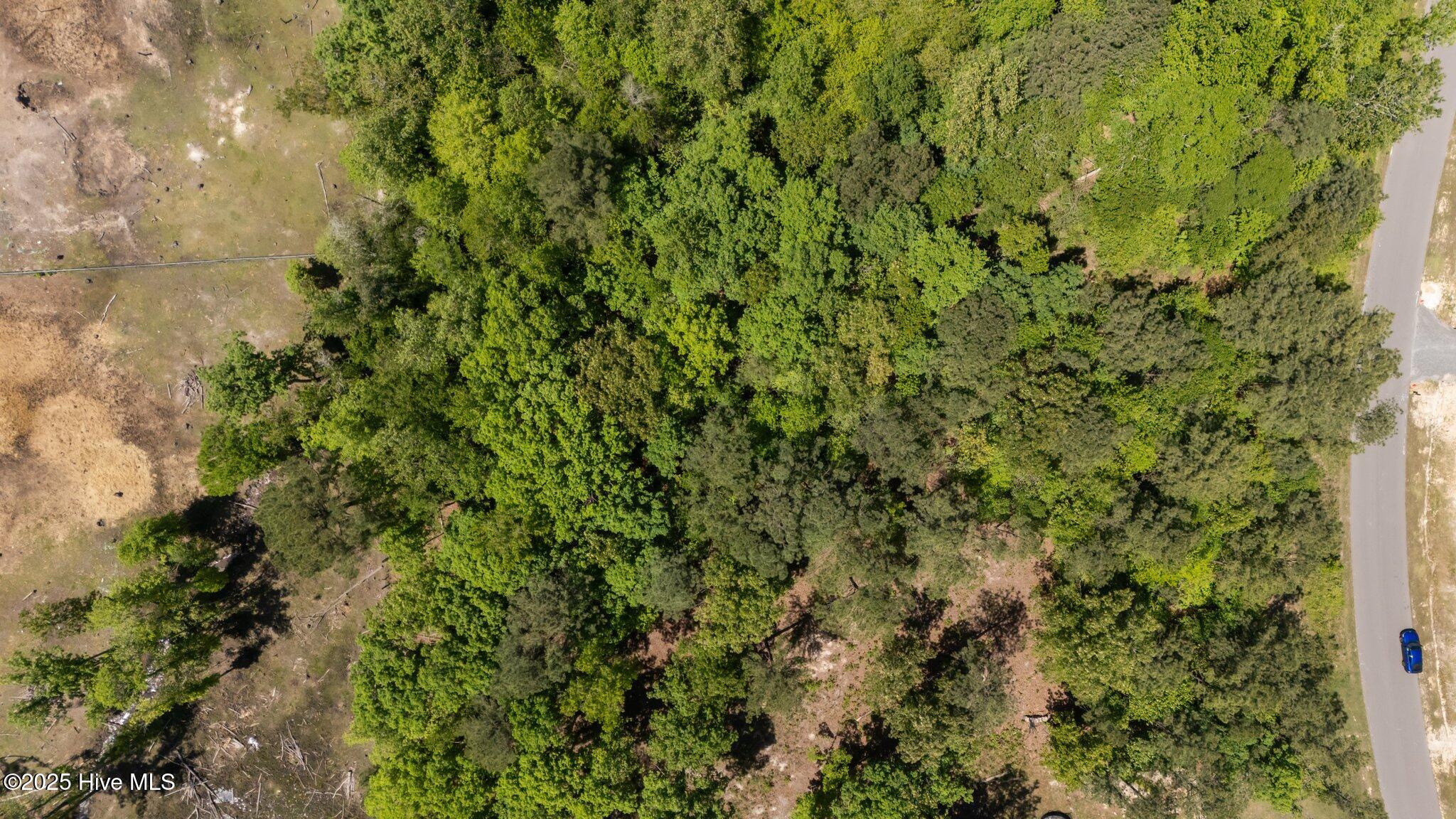 219 Stella Way Cameron, NC 28326 - Photo 19 of 19 20-web-or-mls-DJI_20250429150925_0772_D