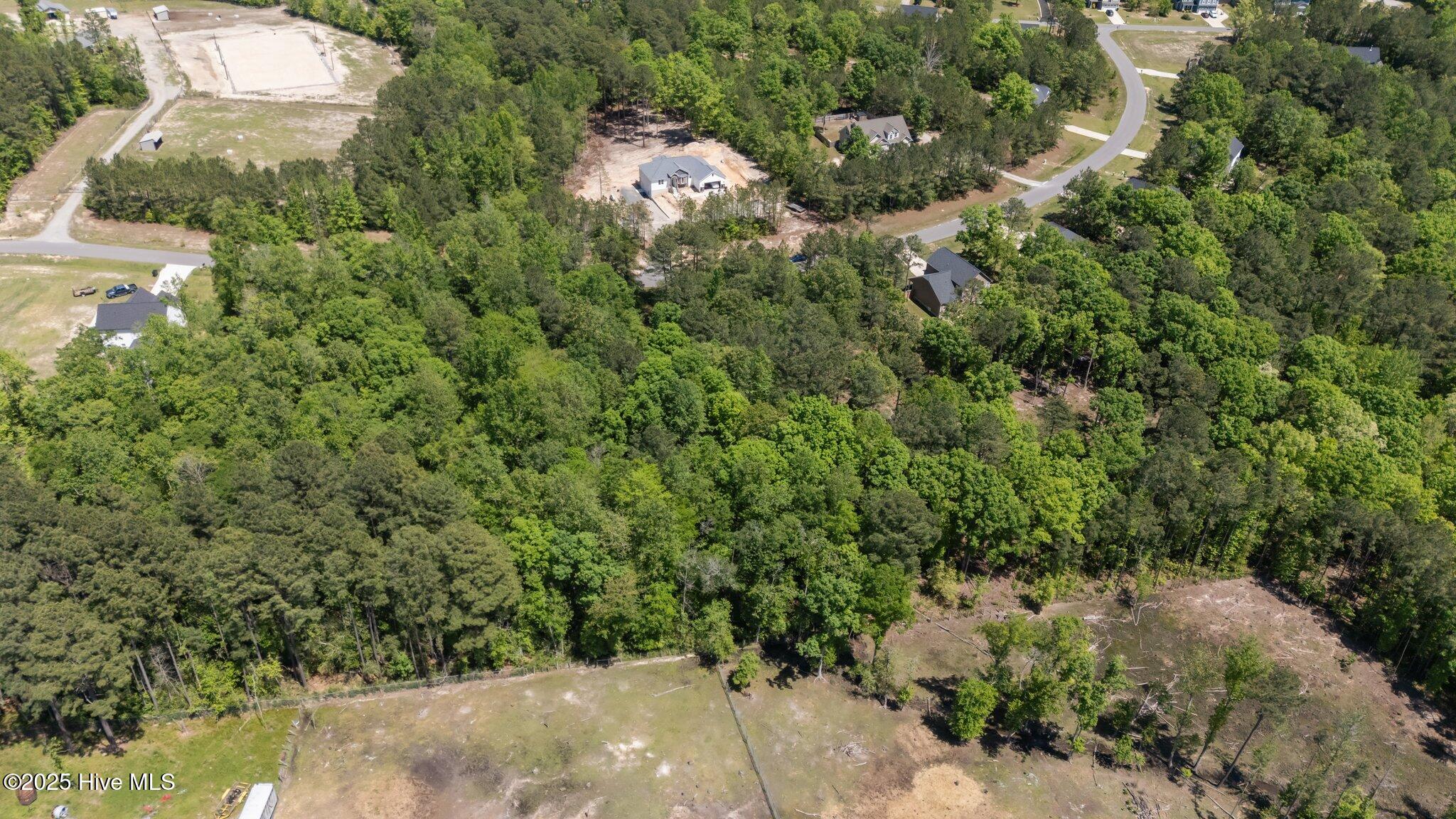 219 Stella Way Cameron, NC 28326 - Photo 8 of 19 9-web-or-mls-DJI_20250429150659_0760_D