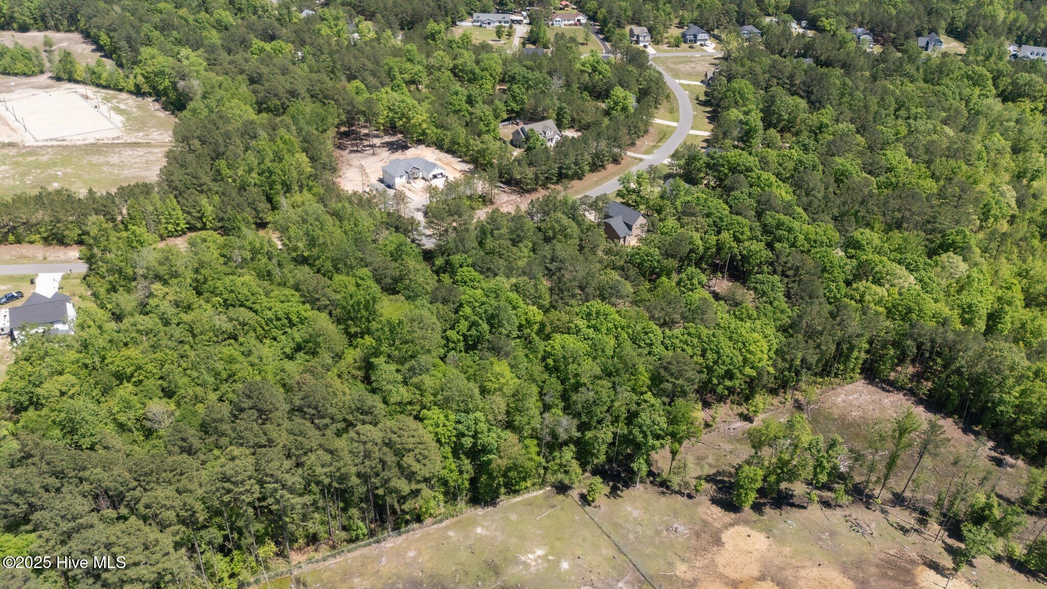 219 Stella Way Cameron, NC 28326 - Photo 9 of 19 10-web-or-mls-DJI_20250429150705_0761_D