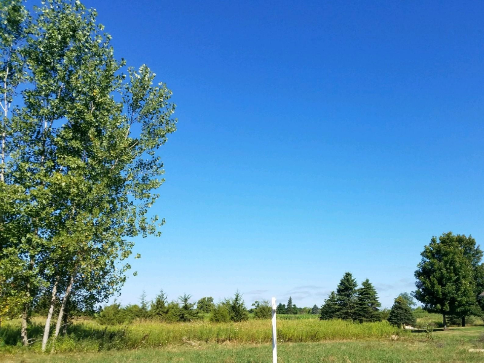 7137 Cedar Ridge Drive Portland, MI 48875 - Photo 1 of 2 Lot 29