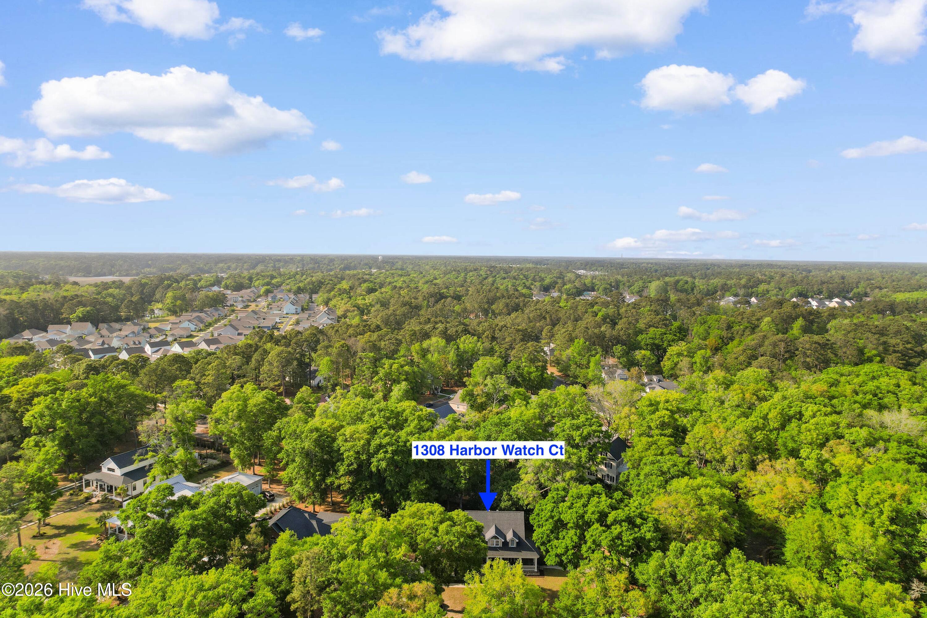 1308 Harbour Watch Southwest Calabash, NC 28467 - Photo 59 of 63