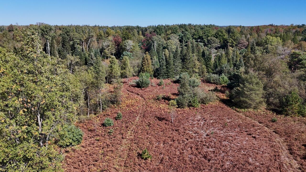 20200 Hibma Road Tustin, MI 49688 - Photo 16 of 104 014
