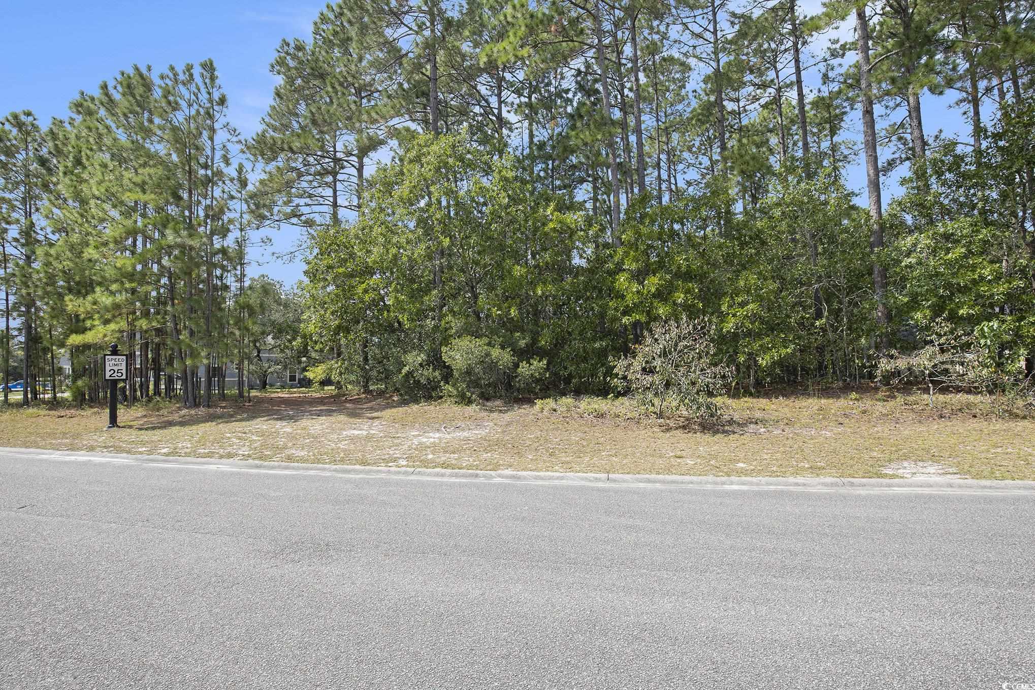 4036 Girvan Drive Myrtle Beach, SC 29579 - Photo 35 of 38