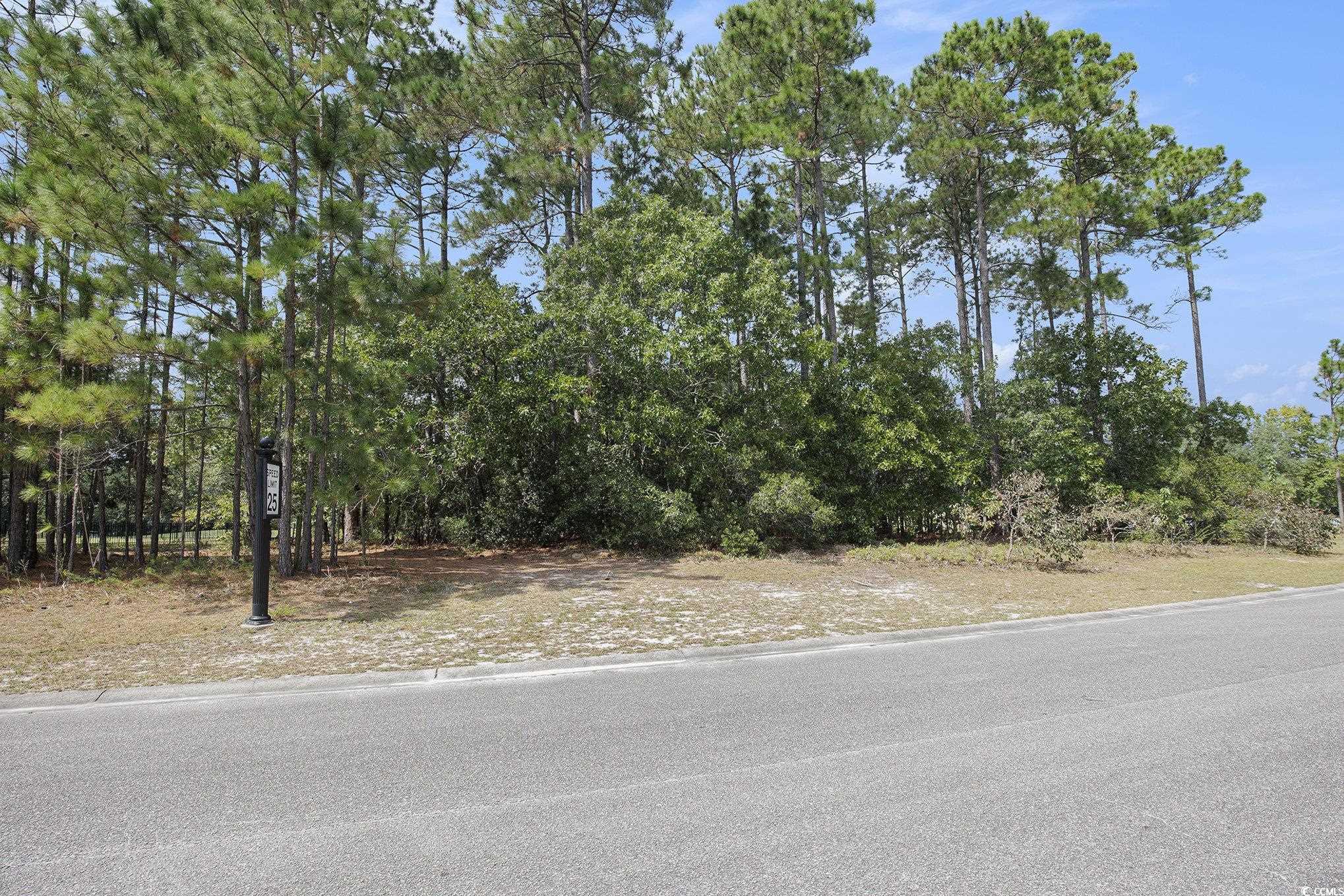 4036 Girvan Drive Myrtle Beach, SC 29579 - Photo 6 of 38 4036 Girvan Drive featuring 175 feet of road frontage