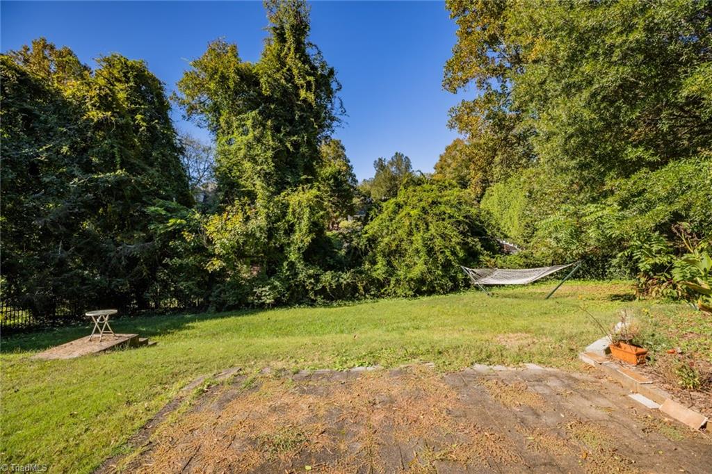 190 Victoria Street Elkin, NC 28621 - Photo 11 of 45 Living Room w/ Fireplace!