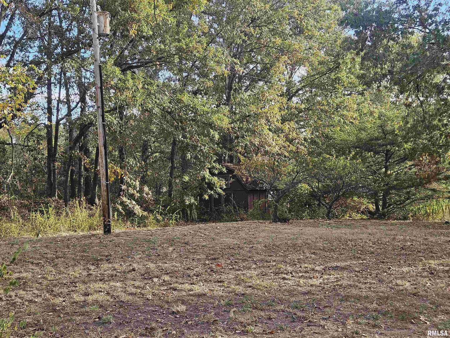 11799 East Webb Road Mount Vernon, IL 62864 - Photo 6 of 29