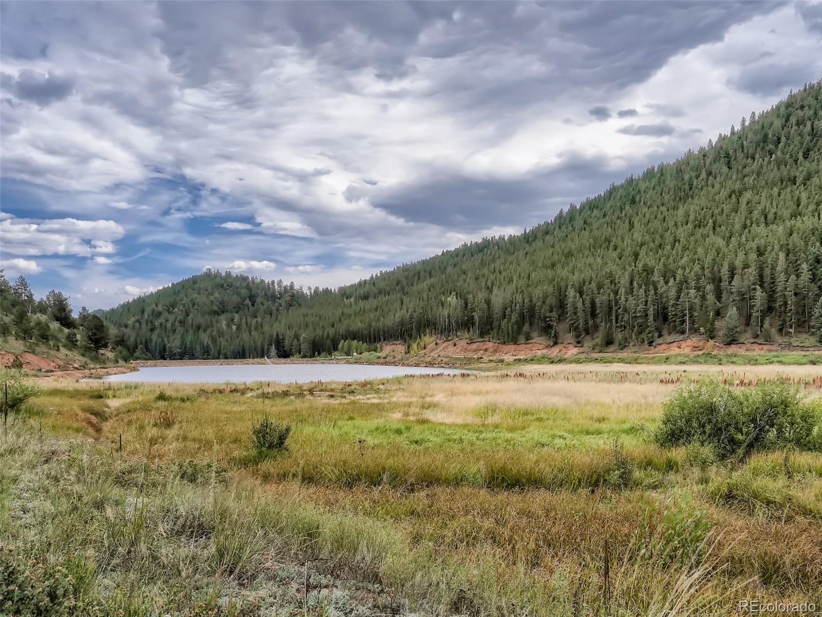 295 Bishop Road Bailey, CO 80421 - Photo 1 of 11 Gallery Image 1