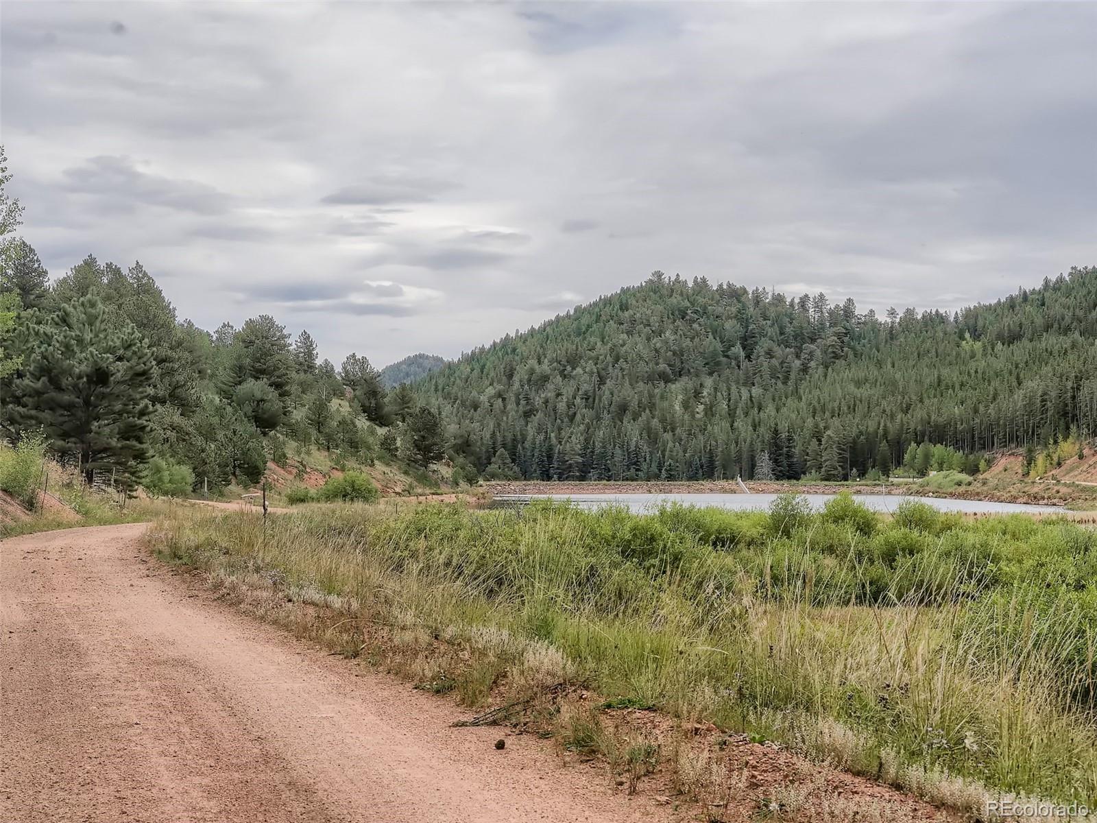 295 Bishop Road Bailey, CO 80421 - Photo 2 of 11 Gallery Image 2