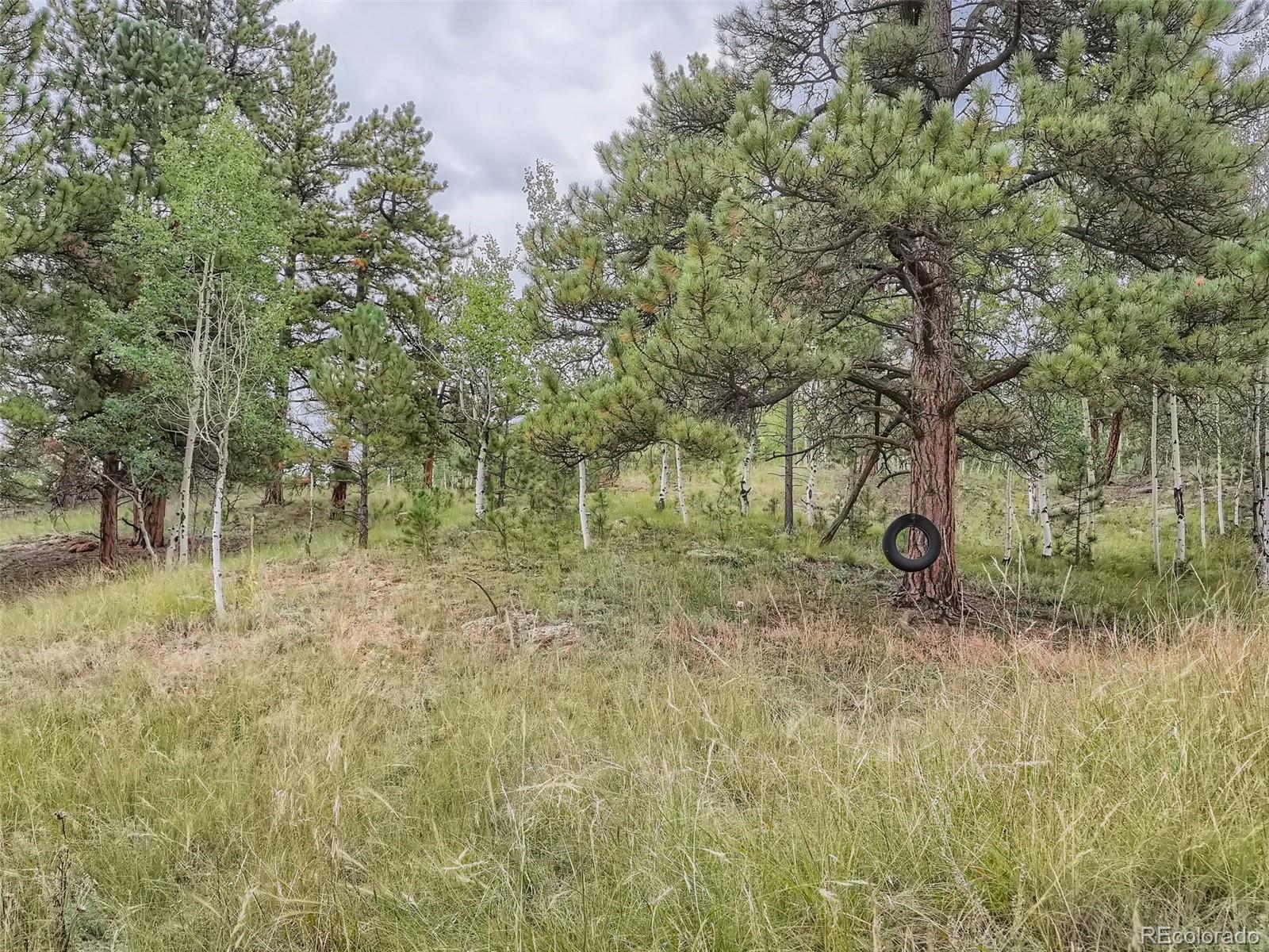 295 Bishop Road Bailey, CO 80421 - Photo 3 of 11 Gallery Image 3