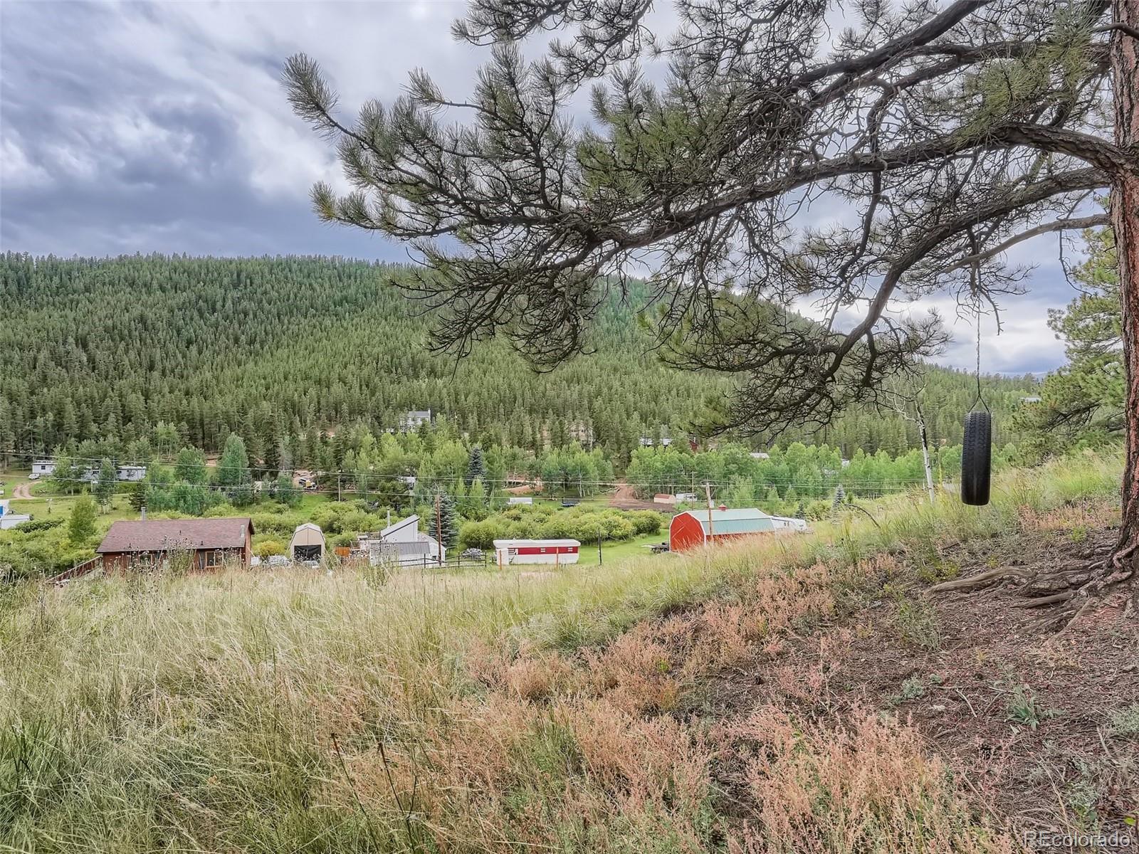 295 Bishop Road Bailey, CO 80421 - Photo 4 of 11 Gallery Image 4