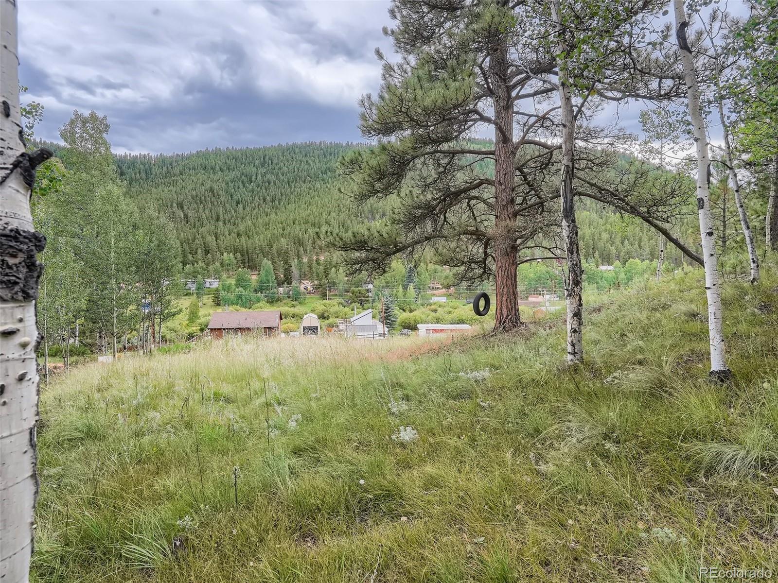 295 Bishop Road Bailey, CO 80421 - Photo 5 of 11 Gallery Image 5