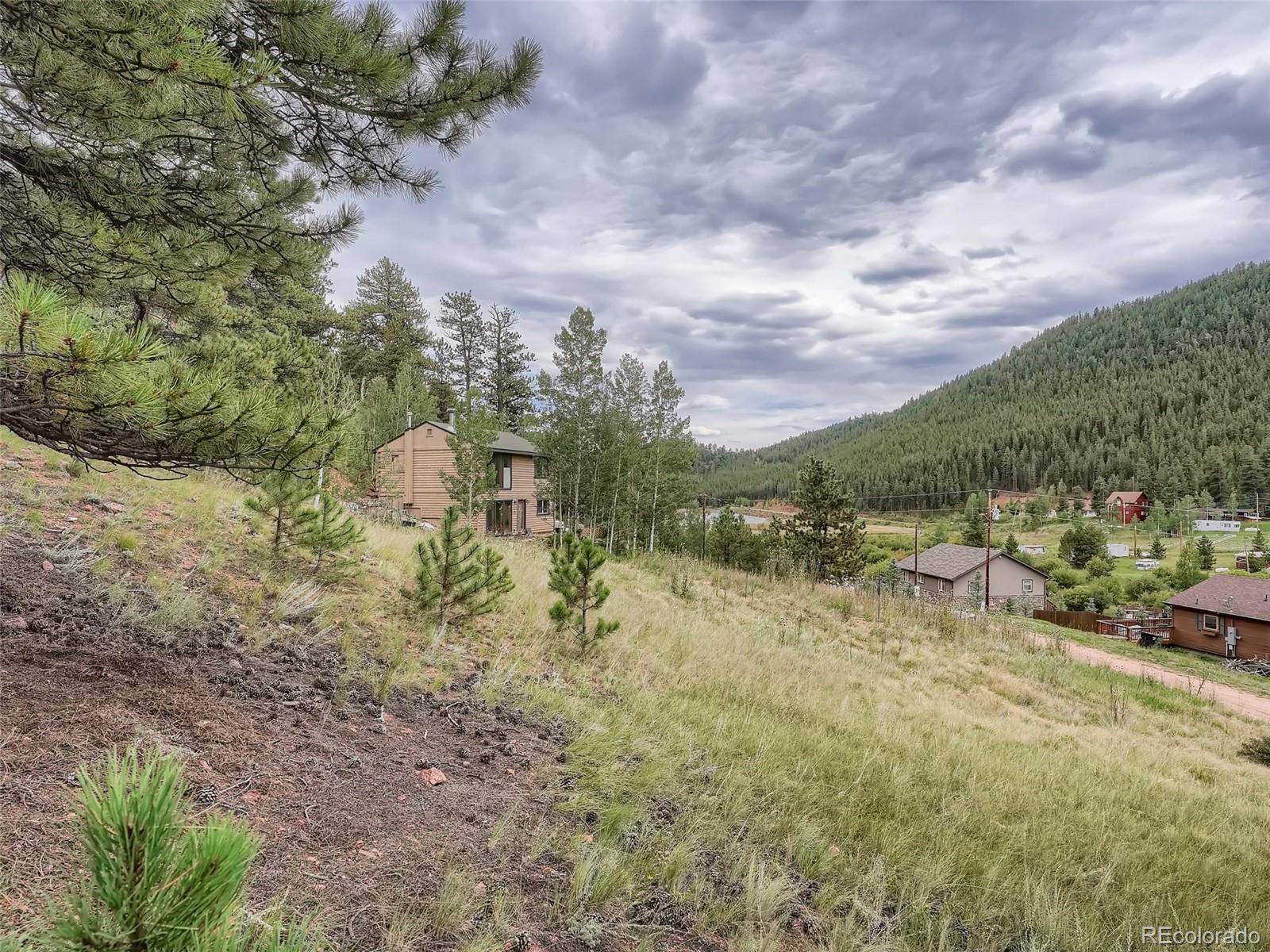 295 Bishop Road Bailey, CO 80421 - Photo 6 of 11 Gallery Image 6
