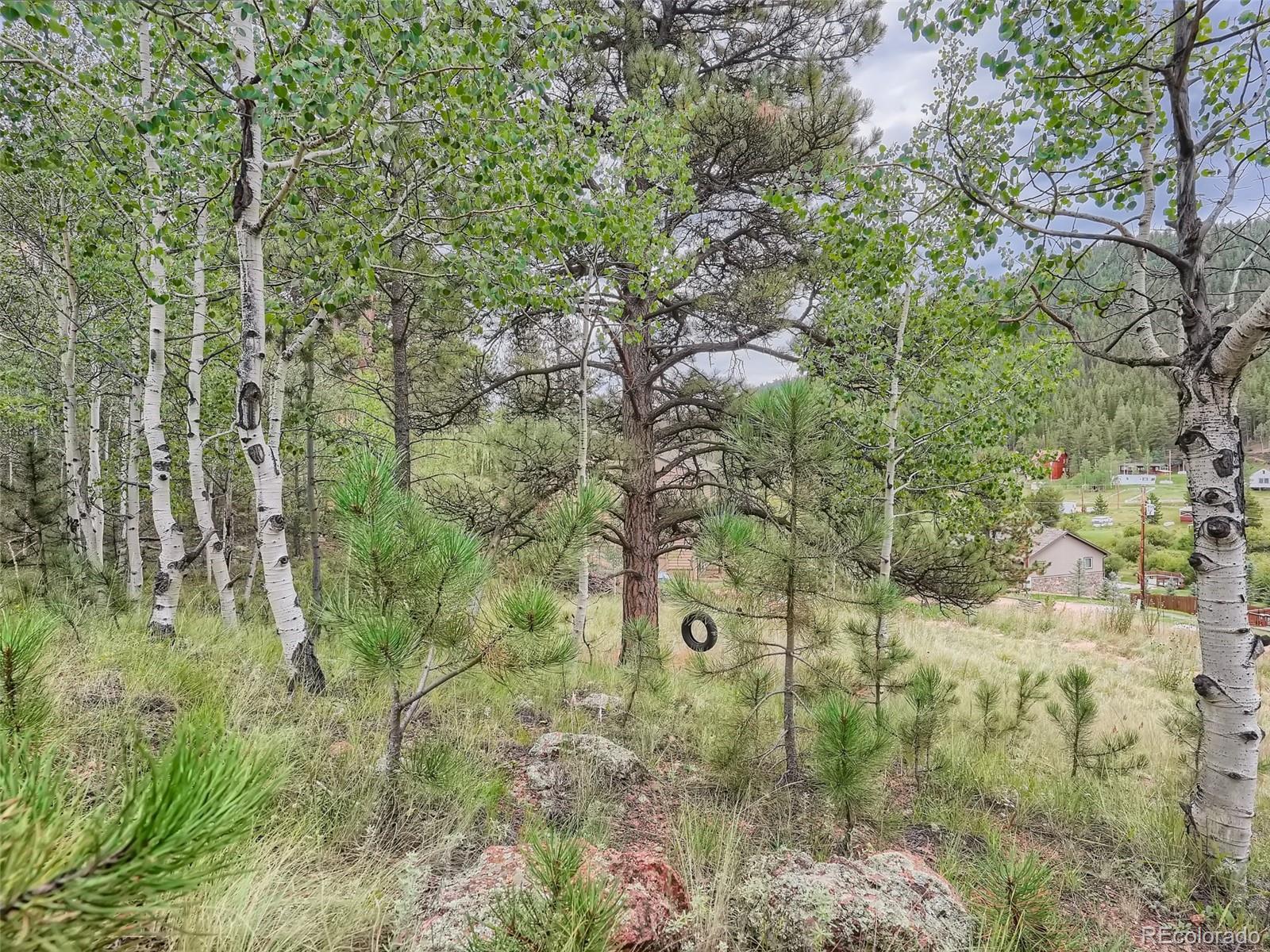 295 Bishop Road Bailey, CO 80421 - Photo 9 of 11 Gallery Image 9