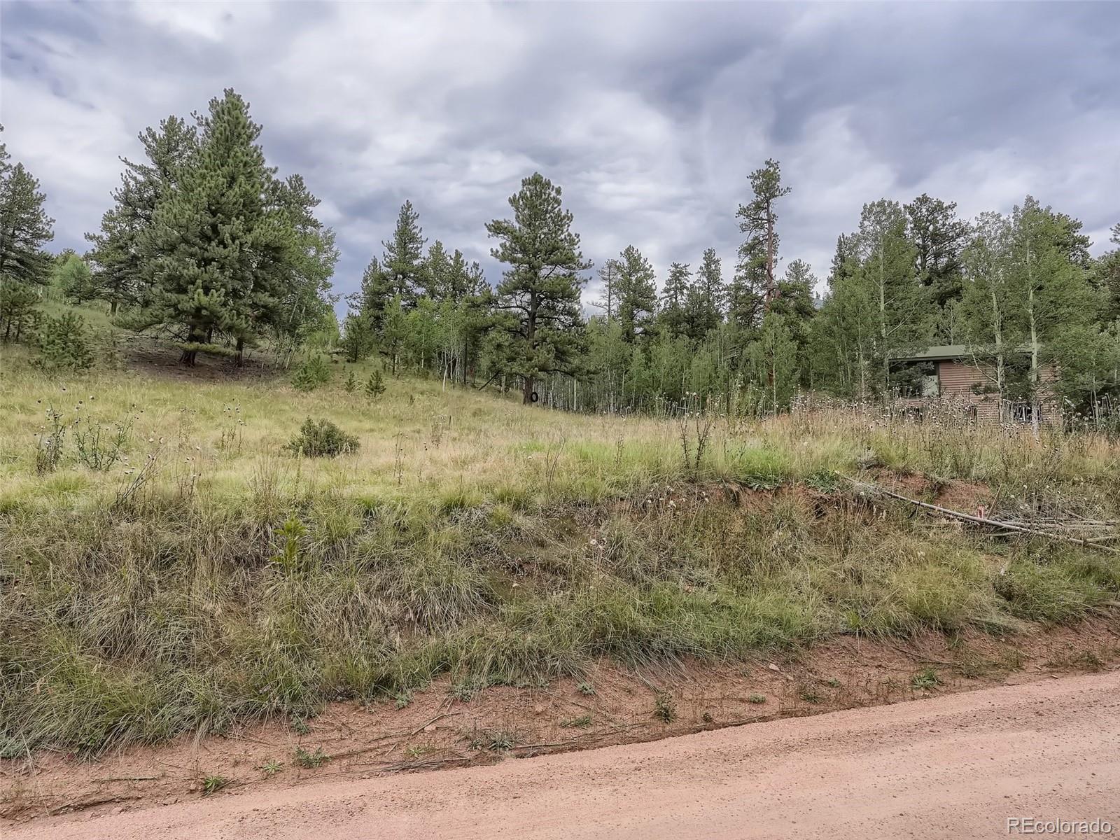 295 Bishop Road Bailey, CO 80421 - Photo 10 of 11 Gallery Image 10