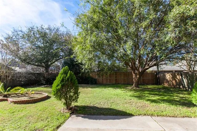 a view of a backyard with large trees
