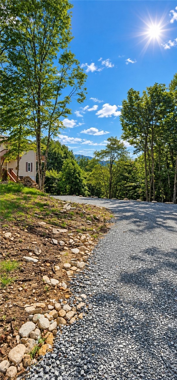 319 Pinnacle Ridge Road Banner Elk, NC 28604 - Photo 16 of 17 Gallery Image 16