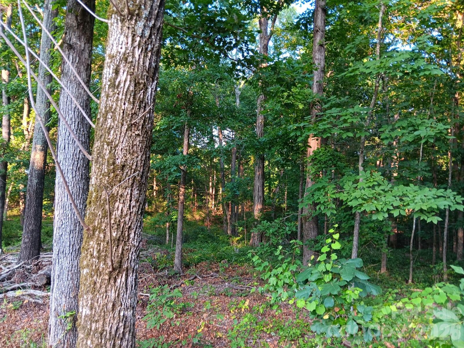 11610 Brief Road, Unit 2 Charlotte, NC 28227 - Photo 12 of 16 a view of backyard with green space
