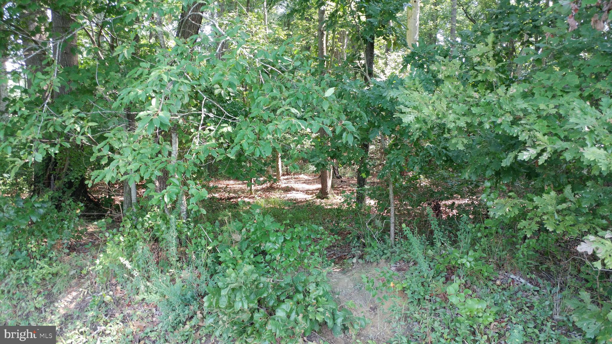 0 East Basket Switch Road Snow Hill, MD 21863 - Photo 1 of 5