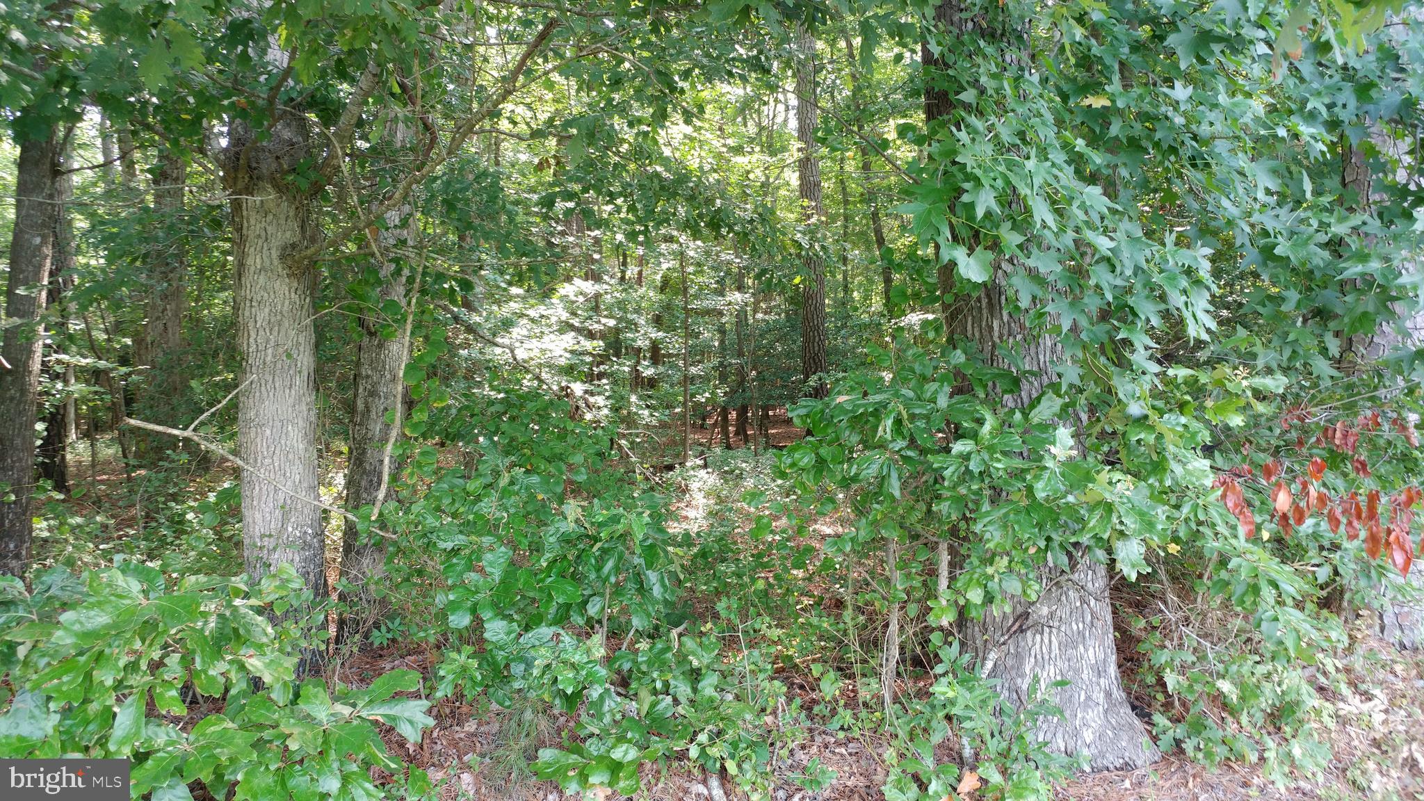 0 East Basket Switch Road Snow Hill, MD 21863 - Photo 2 of 5