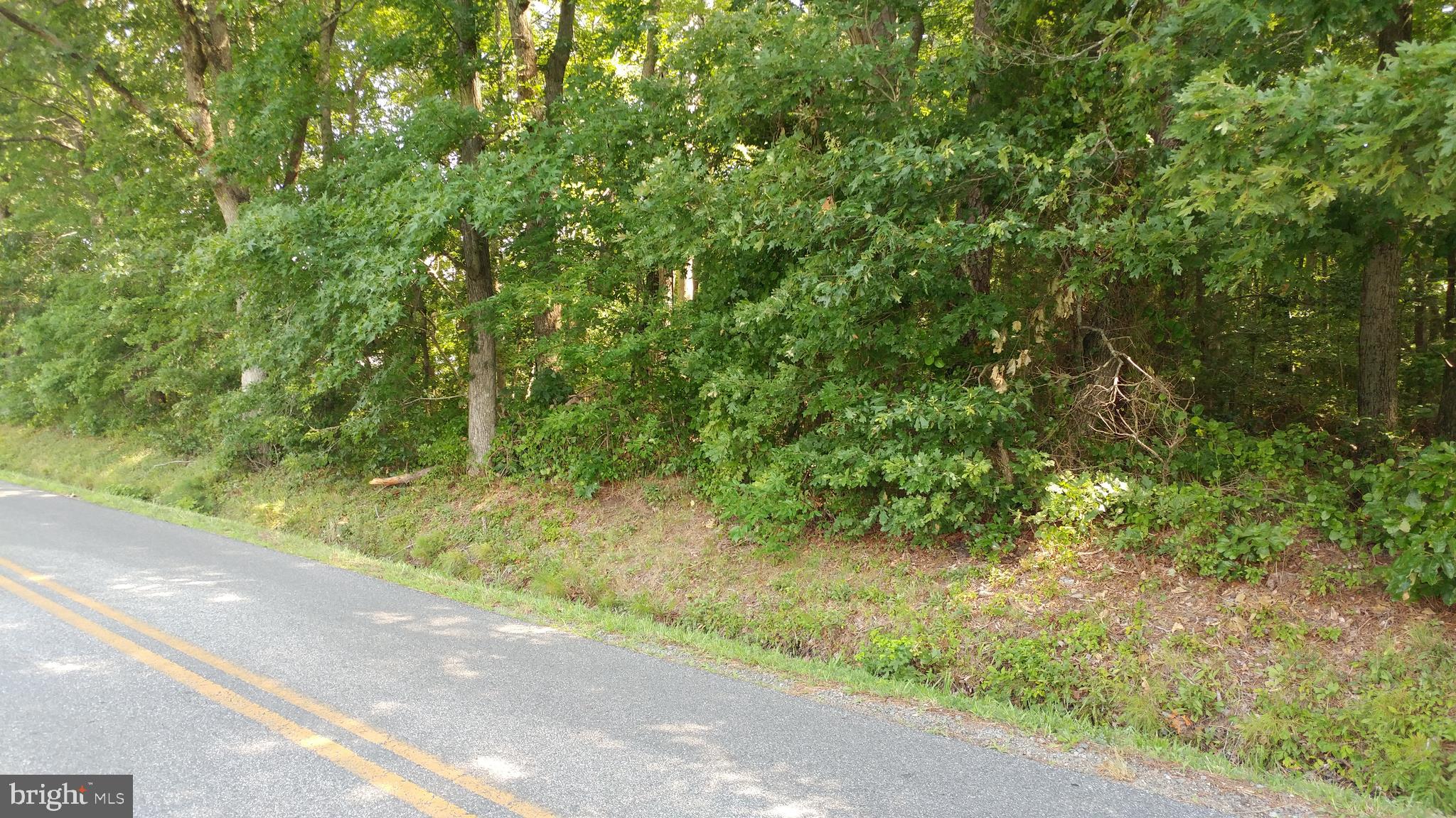 0 East Basket Switch Road Snow Hill, MD 21863 - Photo 3 of 5