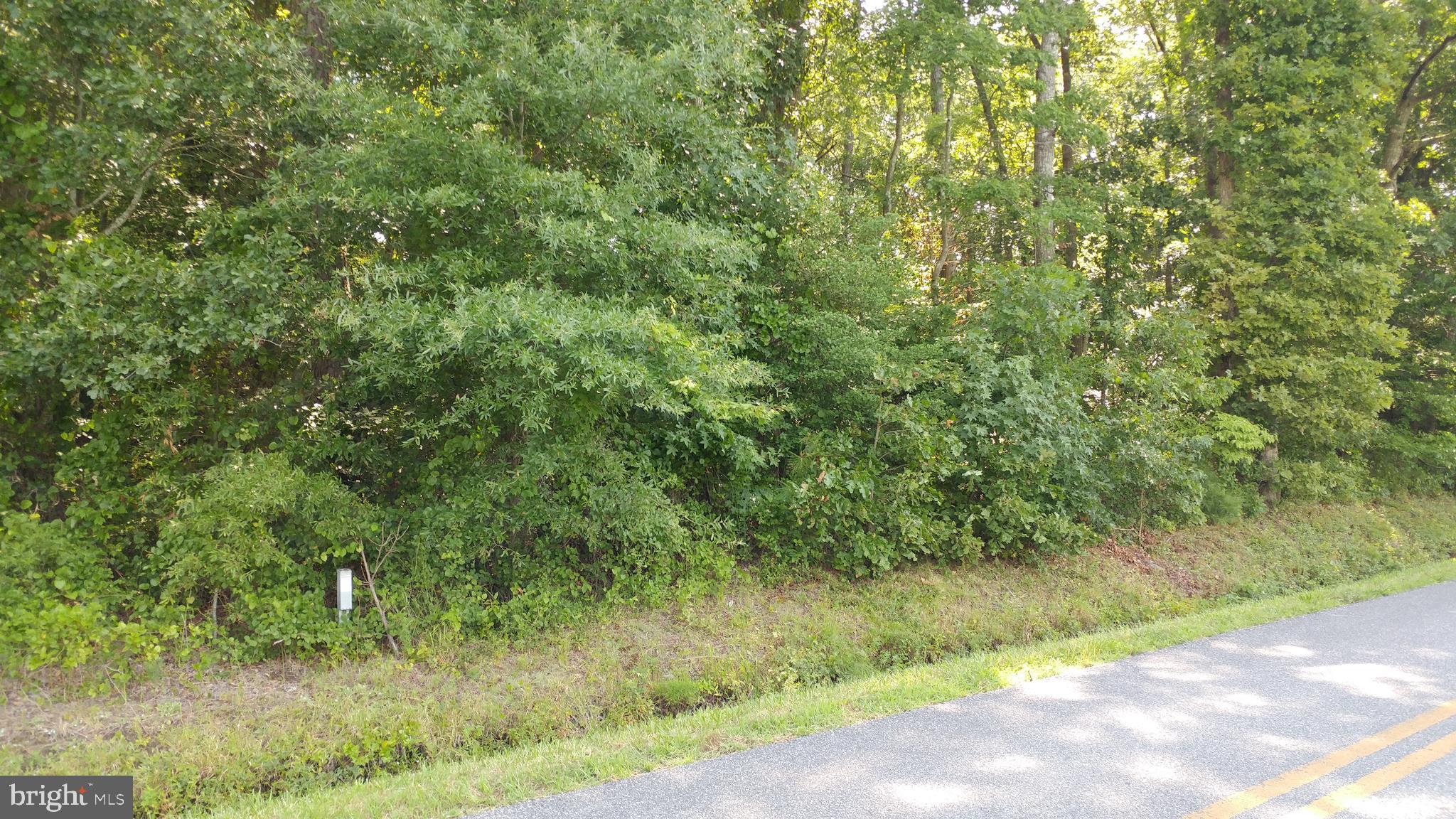 0 East Basket Switch Road Snow Hill, MD 21863 - Photo 4 of 5