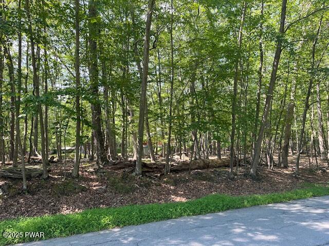 348 Gold Key Road Milford, PA 18337 - Photo 1 of 9 GOLD KEY RD 3