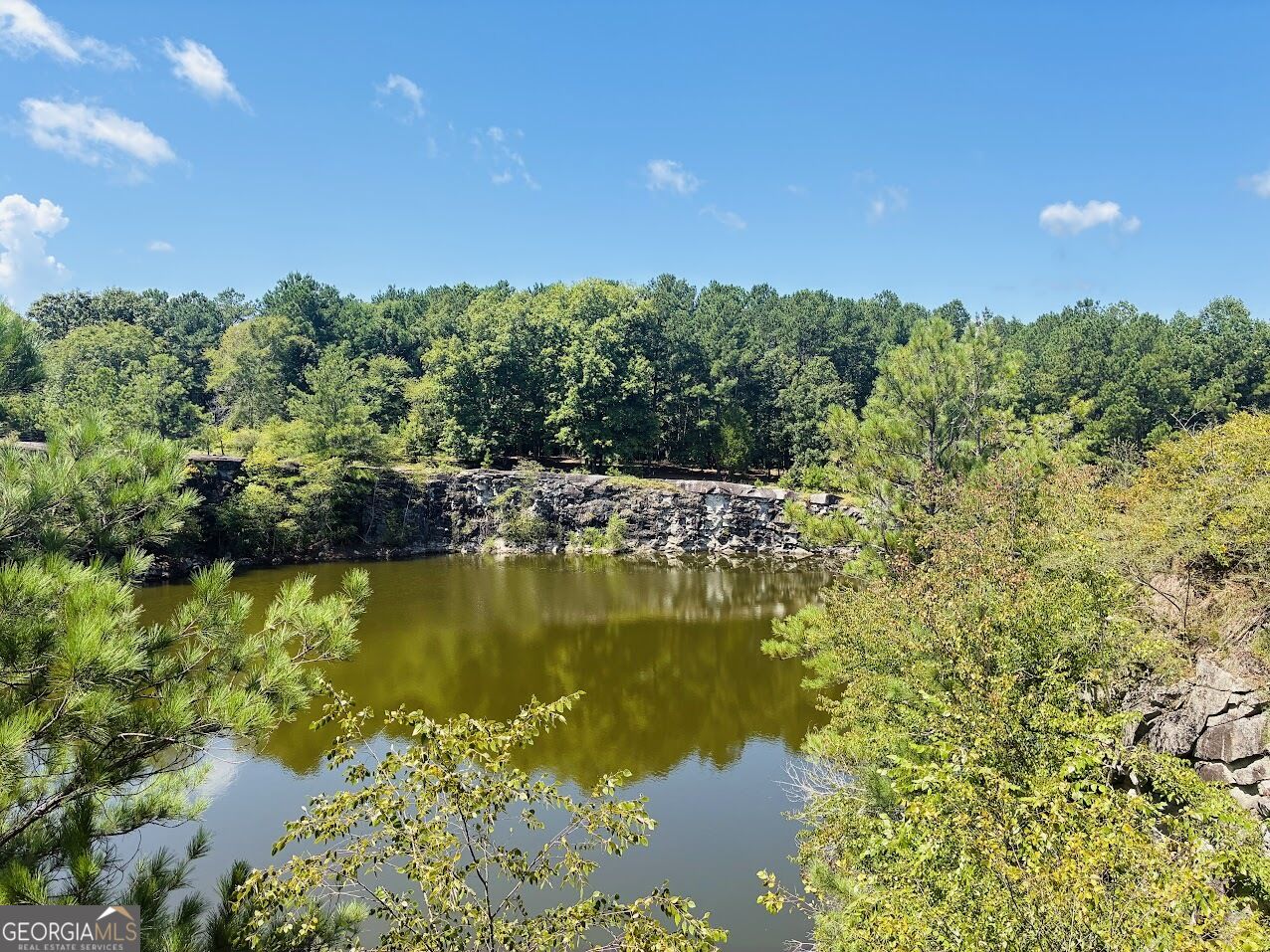 3889 Greenville Road LaGrange, GA 30241 - Photo 14 of 63 Gallery Image 14