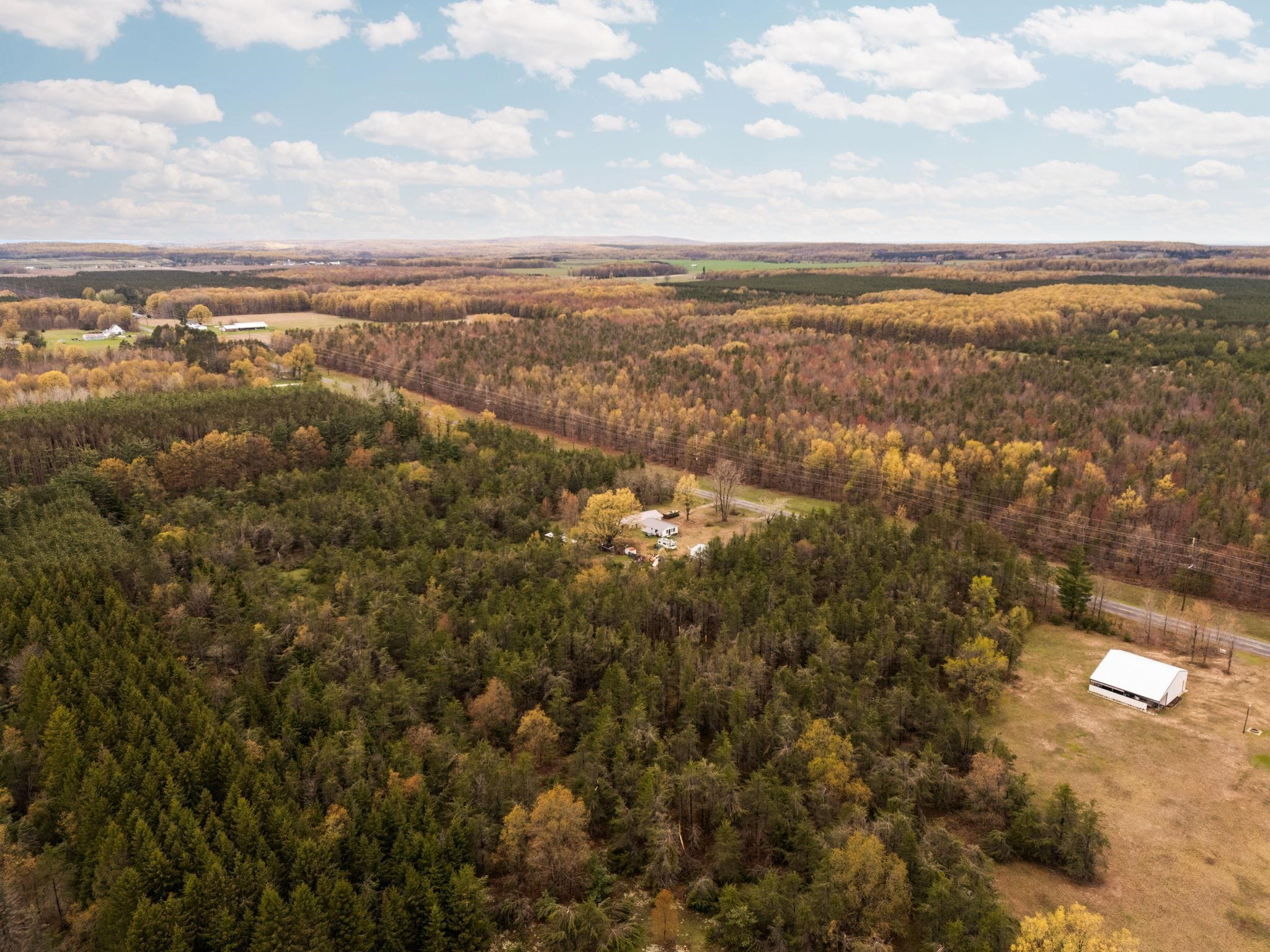 960 East 32 Road Boon, MI 49618 - Photo 8 of 31