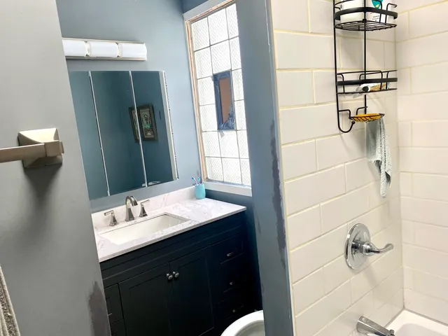a bathroom with a double vanity sink a mirror and shower