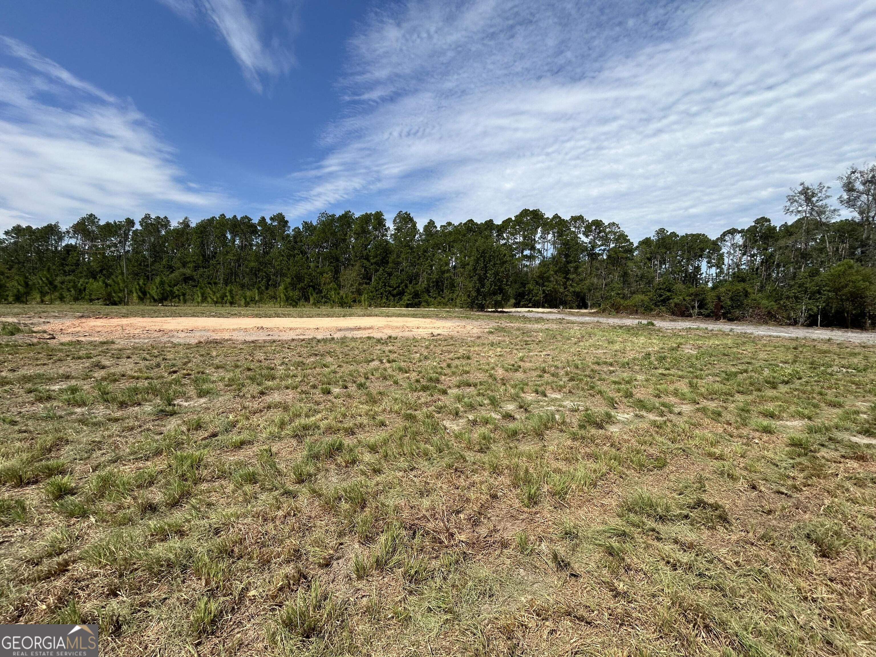 2096 Sellers Road Baxley, GA 31513 - Photo 7 of 21 Gallery Image 7