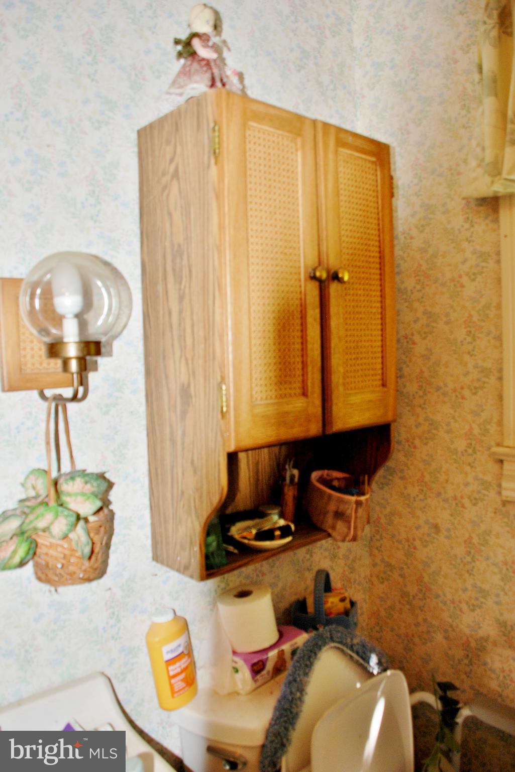 13130 Dutch Hollow Road Culpeper, VA 22701 - Photo 23 of 51 Full bath in hall way