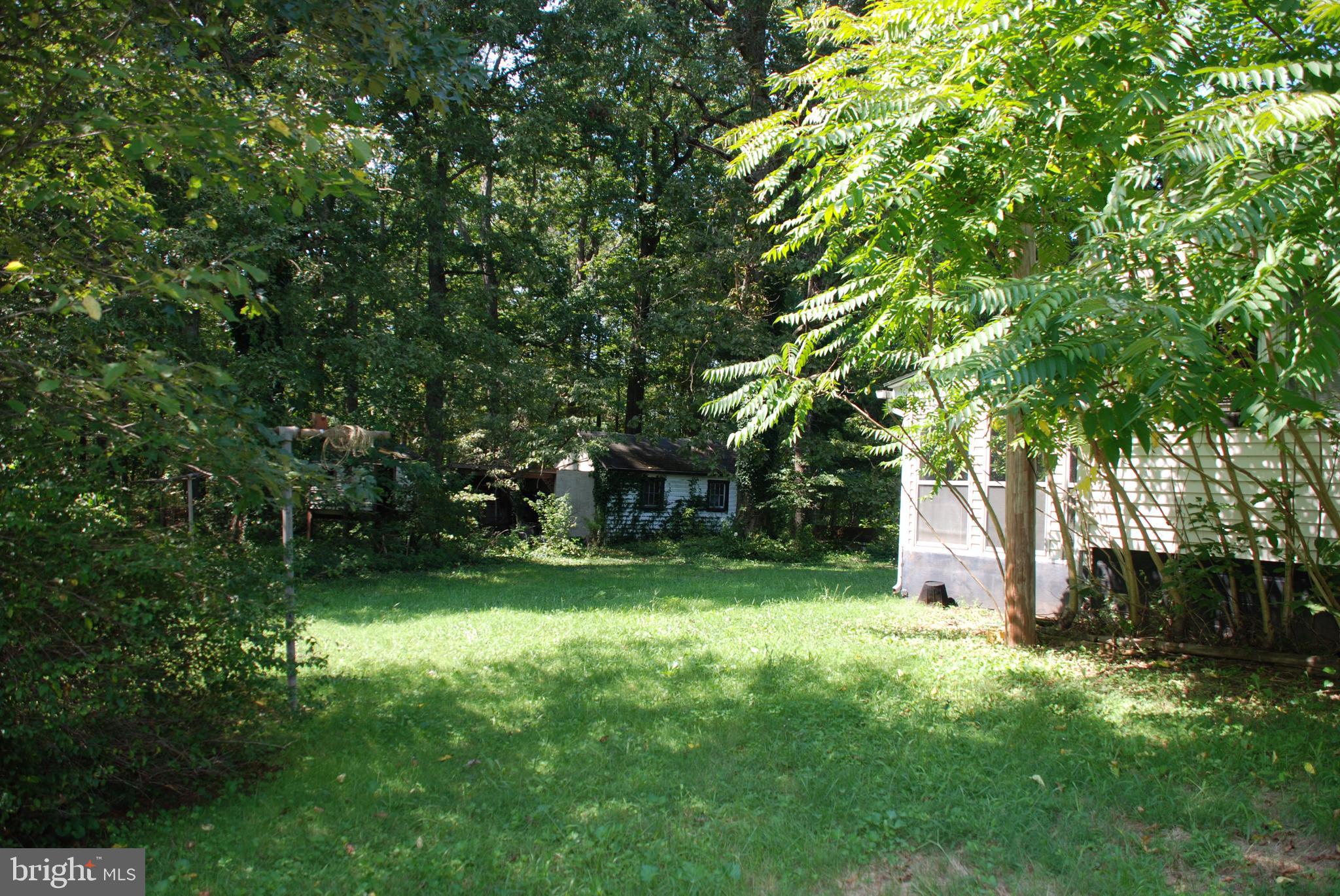 13130 Dutch Hollow Road Culpeper, VA 22701 - Photo 35 of 51 Looking into rear yard