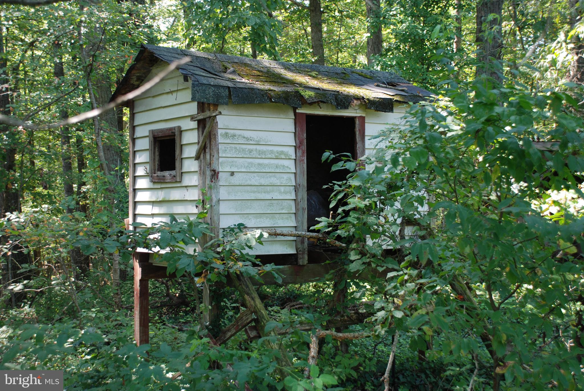 13130 Dutch Hollow Road Culpeper, VA 22701 - Photo 43 of 51 Former playhouse in back yard