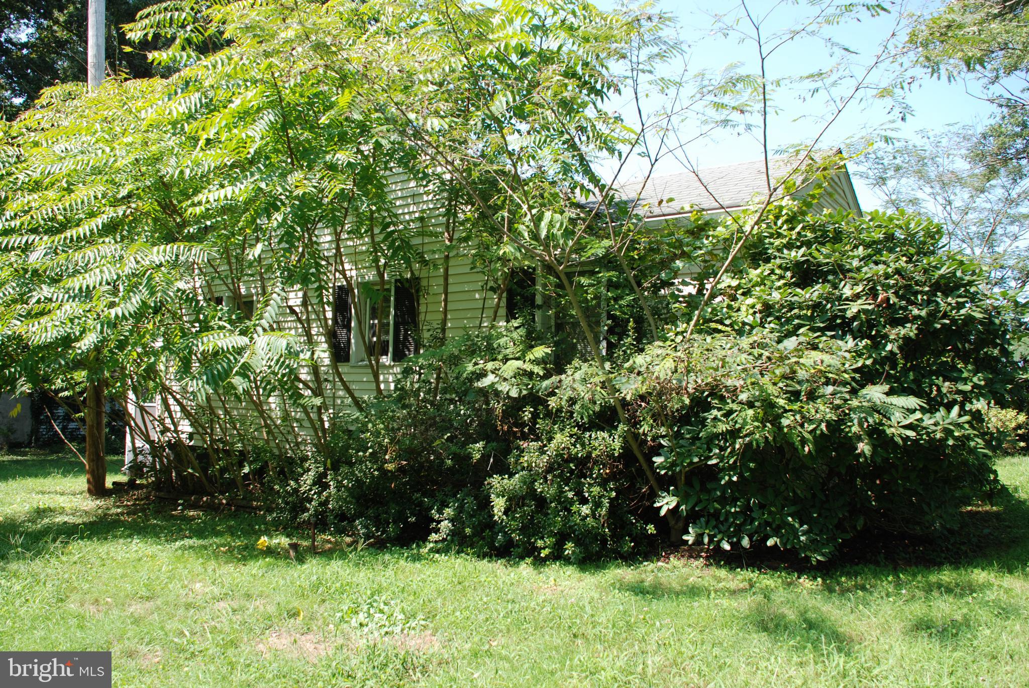 13130 Dutch Hollow Road Culpeper, VA 22701 - Photo 46 of 51 Yard