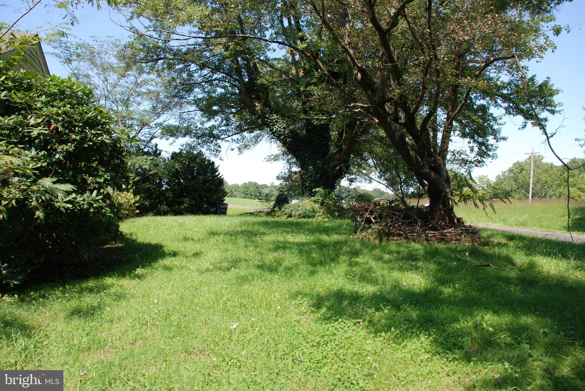 13130 Dutch Hollow Road Culpeper, VA 22701 - Photo 47 of 51 Yard