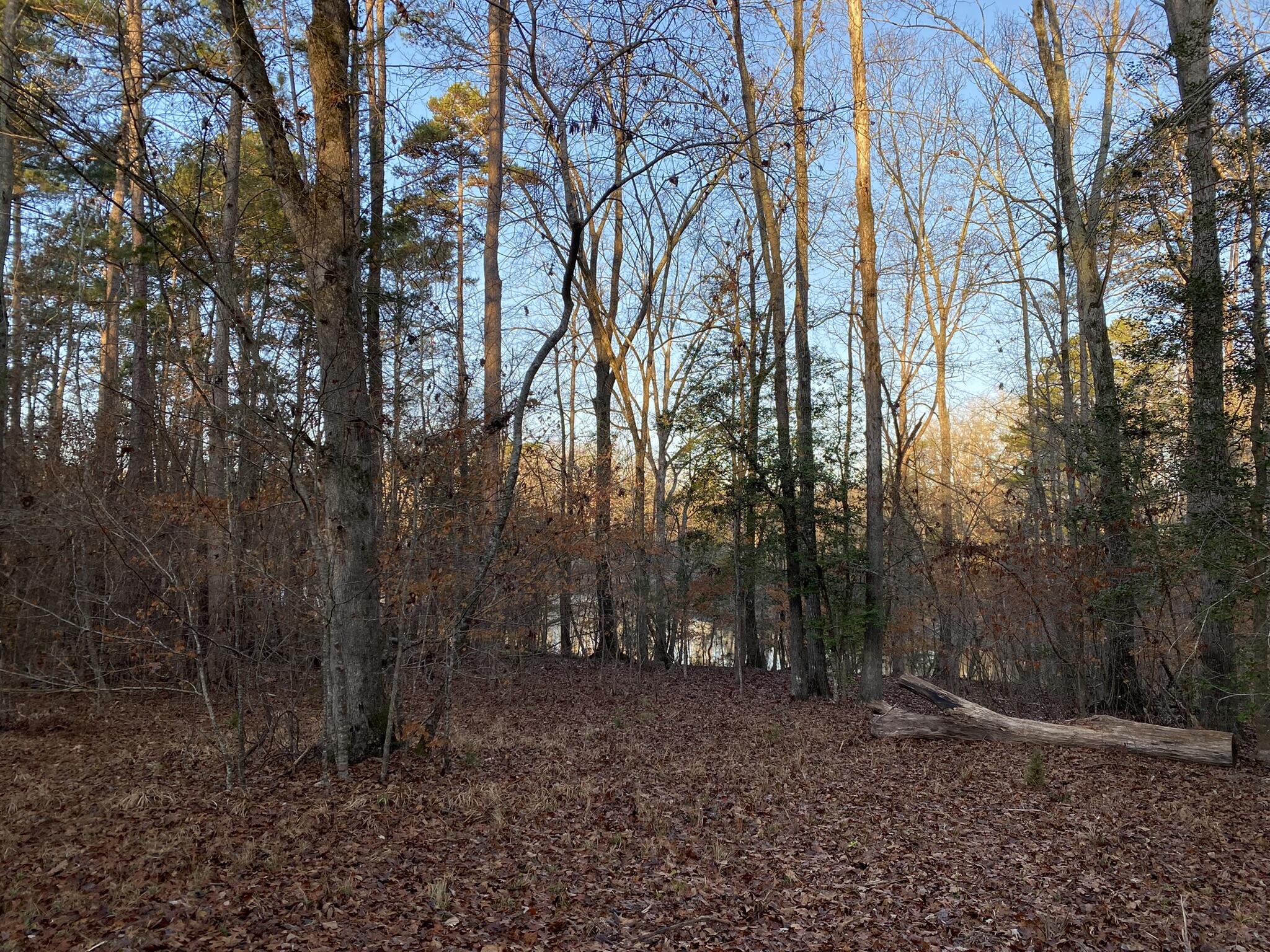 Batesburg-leesville Sc 29006 Road Leesville, SC 29070 - Photo 3 of 22