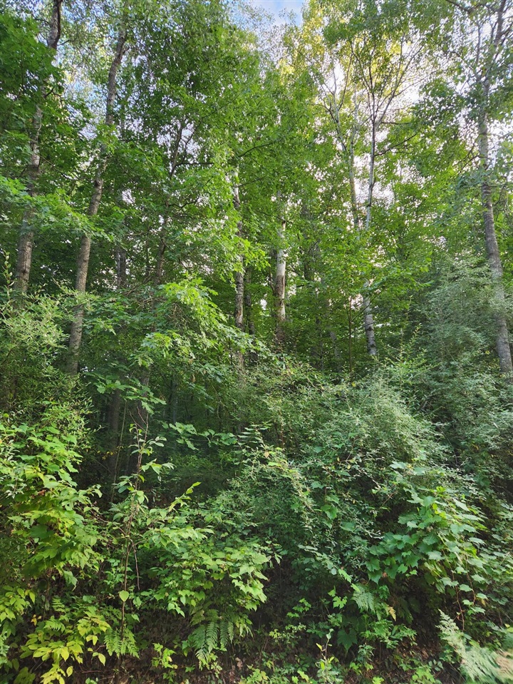 17 17 Mile Road Lakeview, MI 48850 - Photo 3 of 7