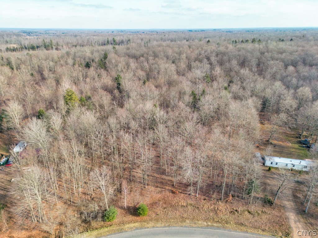 0 Senior Avenue Fulton, NY 13069 - Photo 11 of 13