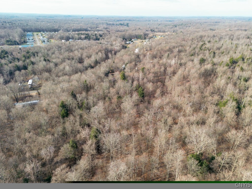 0 Senior Avenue Fulton, NY 13069 - Photo 5 of 13