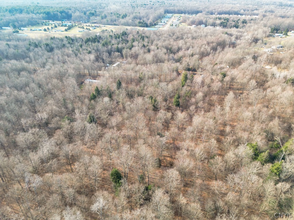 0 Senior Avenue Fulton, NY 13069 - Photo 6 of 13