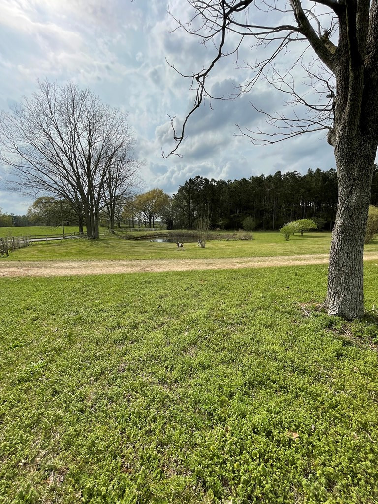 3687 East Lincoln Road Southeast Brookhaven, MS 39601 - Photo 3 of 24 Photo 3