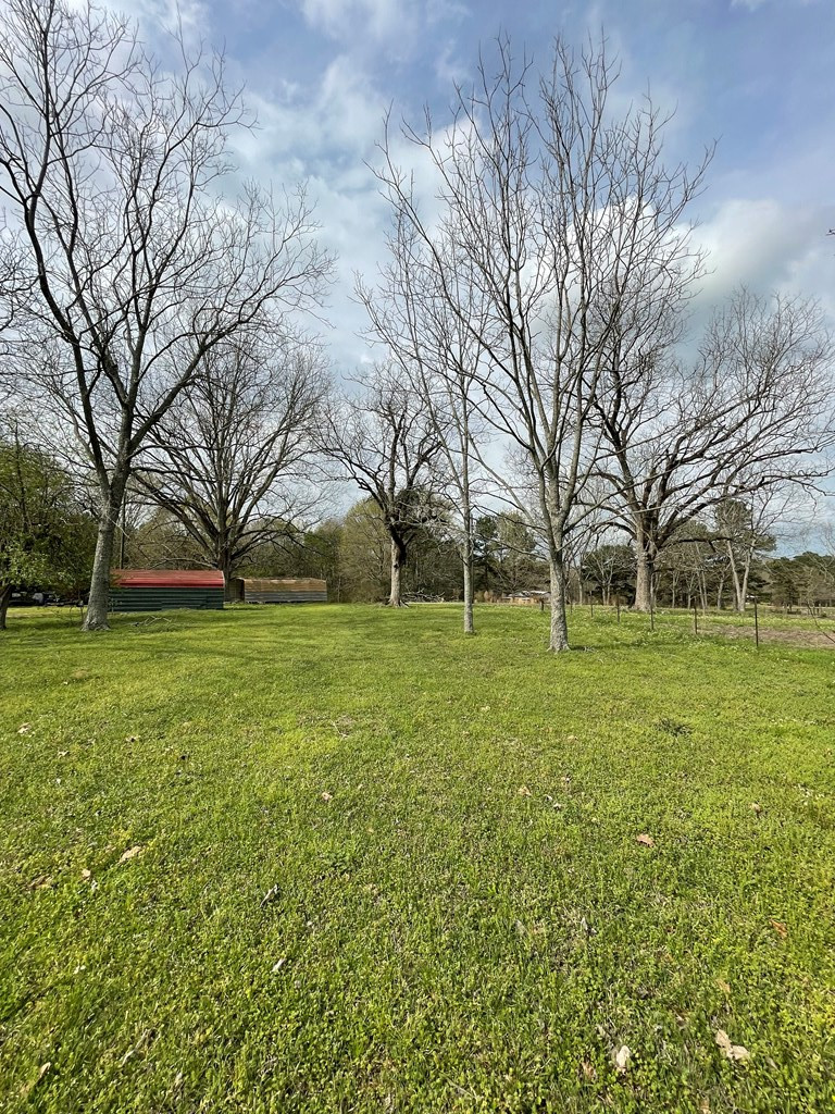 3687 East Lincoln Road Southeast Brookhaven, MS 39601 - Photo 4 of 24 Photo 4