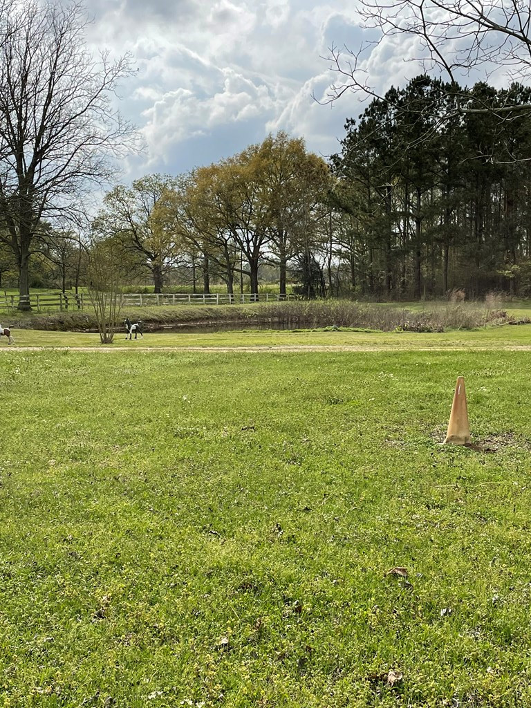 3687 East Lincoln Road Southeast Brookhaven, MS 39601 - Photo 6 of 24 Photo 6