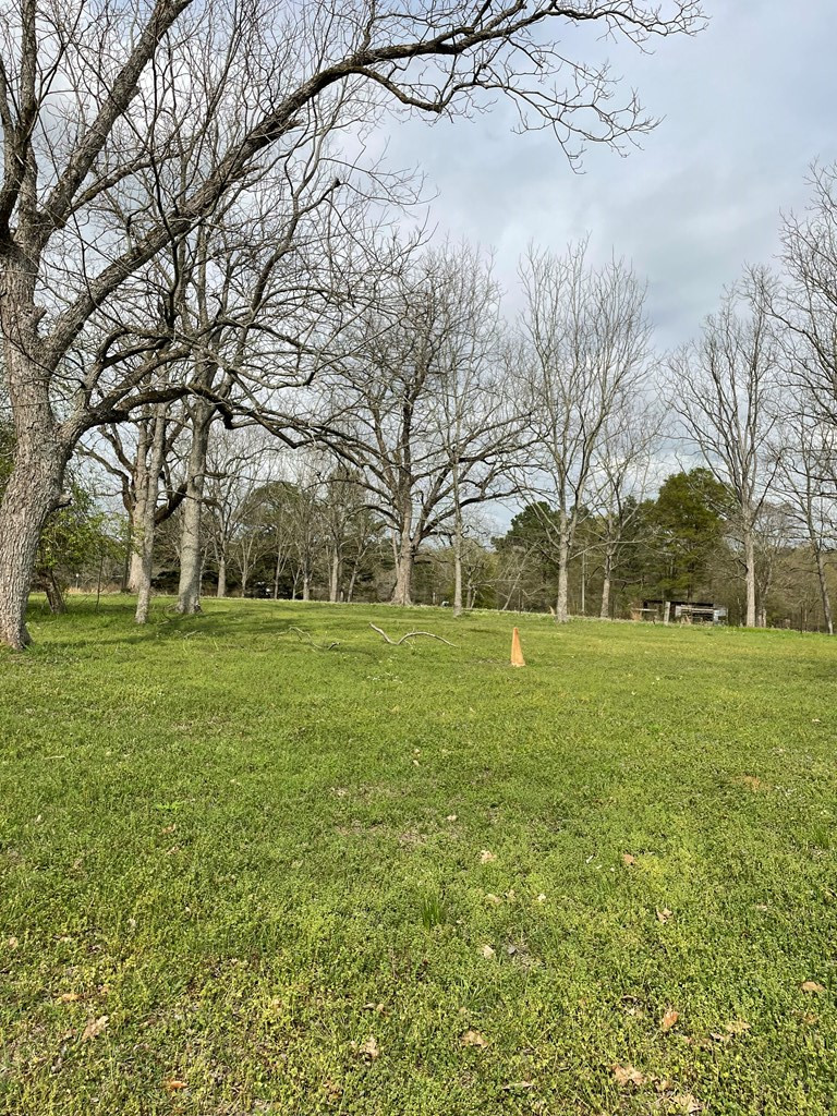 3687 East Lincoln Road Southeast Brookhaven, MS 39601 - Photo 7 of 24 Photo 7